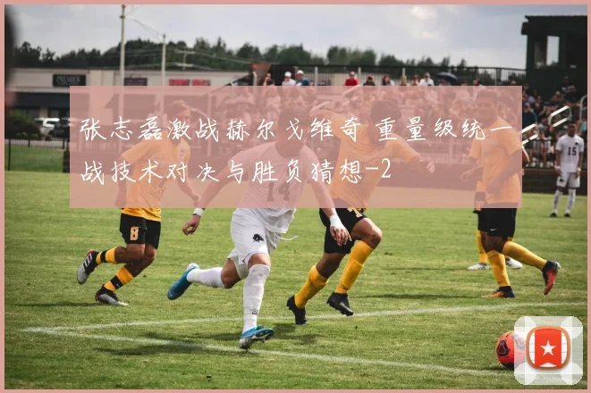 张志磊激战赫尔戈维奇 重量级统一战技术对决与胜负猜想