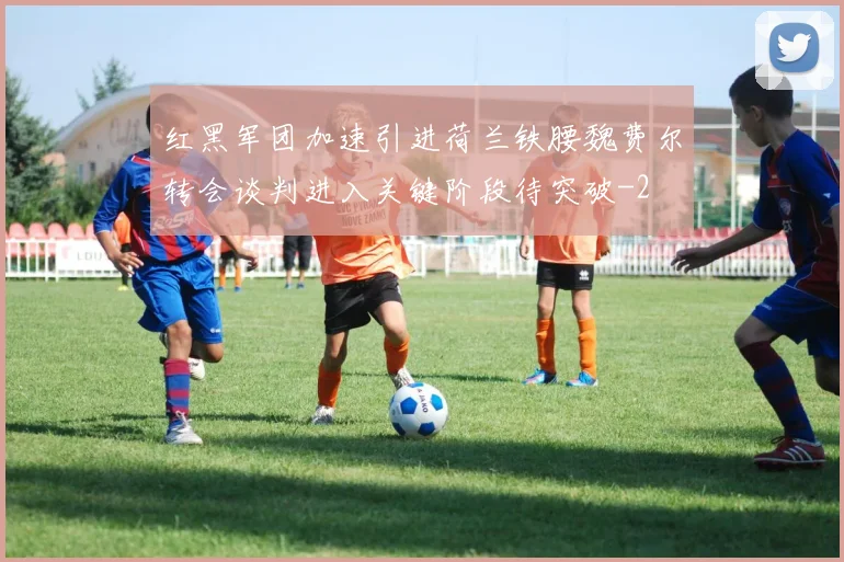 红黑军团加速引进荷兰铁腰魏费尔转会谈判进入关键阶段待突破