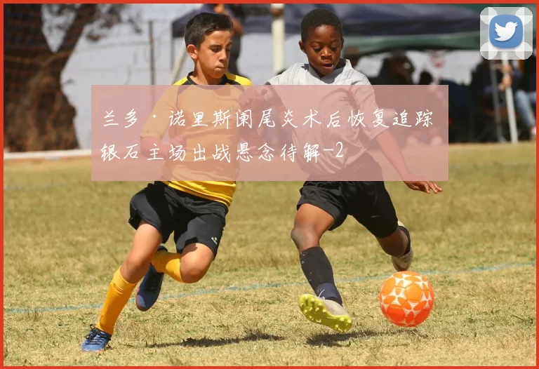 兰多·诺里斯阑尾炎术后恢复追踪 银石主场出战悬念待解