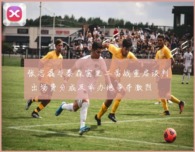 张志磊与泰森富里二番战重启谈判 出场费分成及举办地争夺激烈