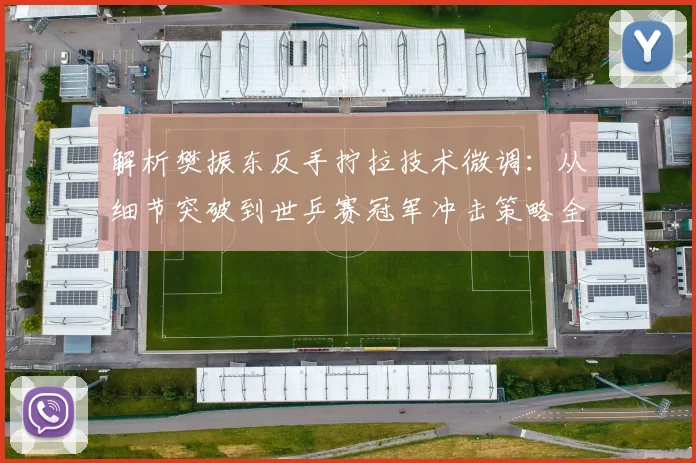 解析樊振东反手拧拉技术微调：从细节突破到世乒赛冠军冲击策略全览