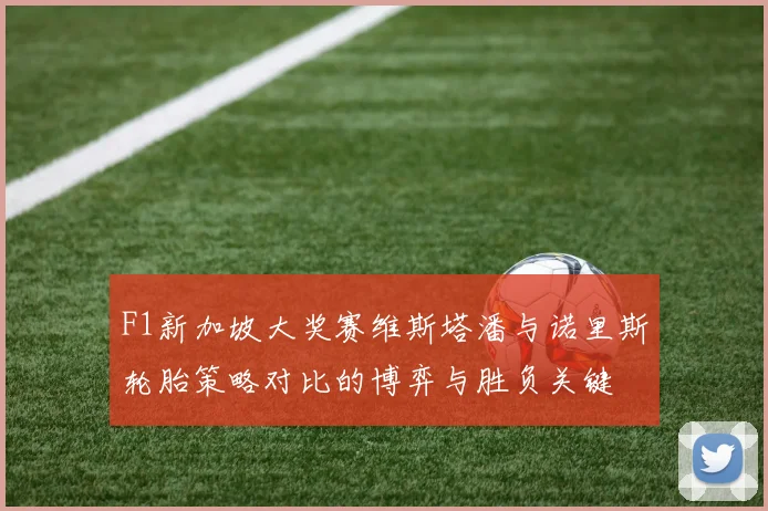 F1新加坡大奖赛维斯塔潘与诺里斯轮胎策略对比的博弈与胜负关键